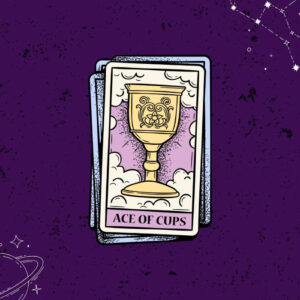 Lectura de vínculos